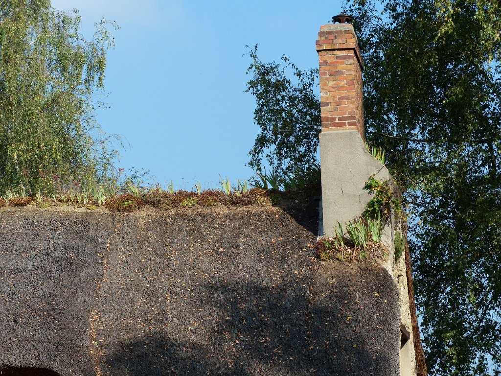 2014-09 CHEVREUSE (16).JPG